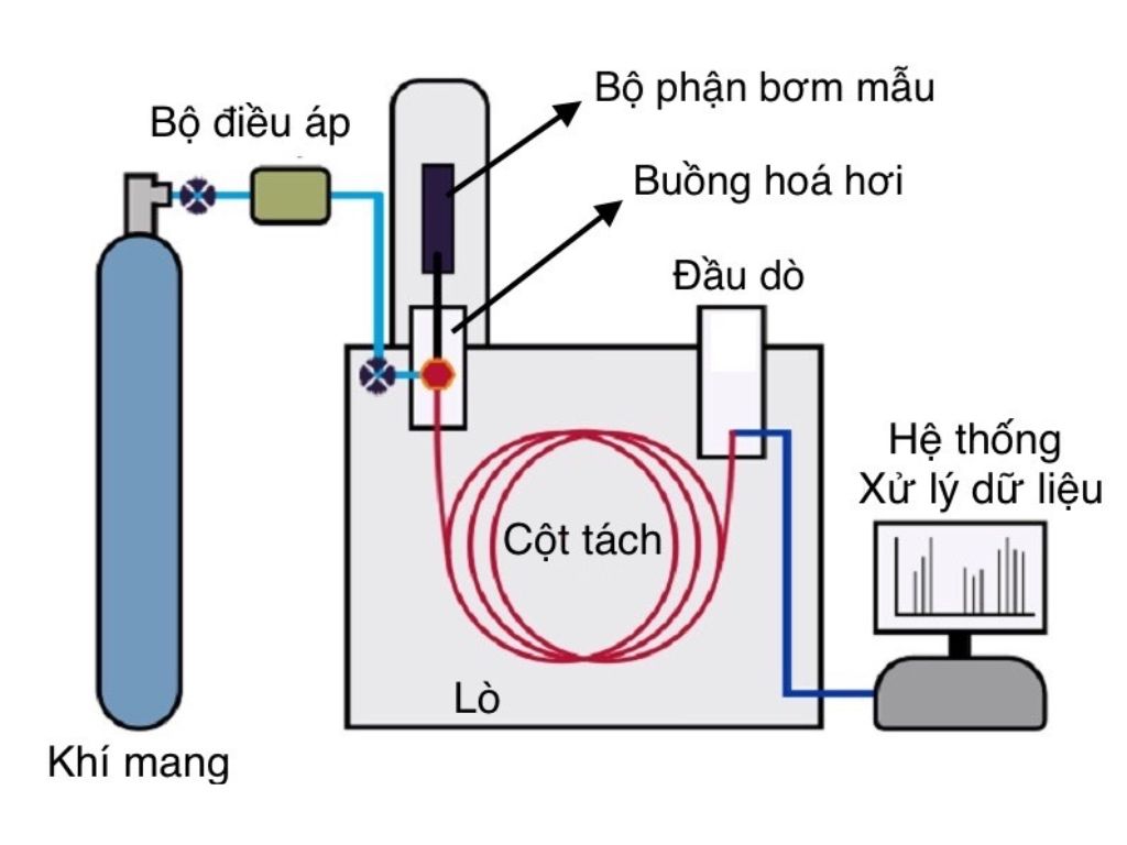 Ứng dụng sắc ký khí để kiểm soát dư lượng hóa chất bảo vệ thực vật trong thực phẩm 1